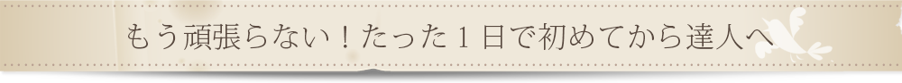 もう頑張らない！たった1日で初めてから達人へ