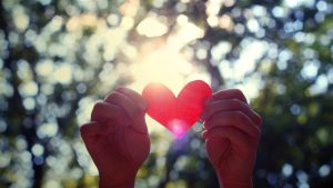 hands_heart_light_